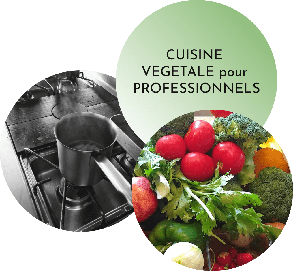 Images-liens redirigeant vers la partie de la page consacrée à la cuisine végétale pour les professionnels.